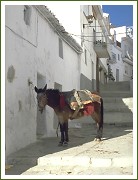 Street in a white washed village in the Axarquia